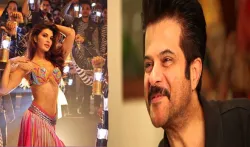 <p>anil kapoor</p>- India TV Hindi