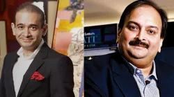 Mehul Choksi & companies- India TV Paisa