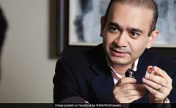 nirav modi- India TV Paisa