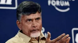 Andhra Pradesh Chief Minister N Chandrababu Naidu | PTI Photo- India TV Hindi