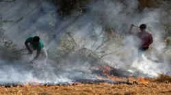 Crop Residue Burning- India TV Paisa