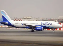 <p>indigo</p>- India TV Hindi