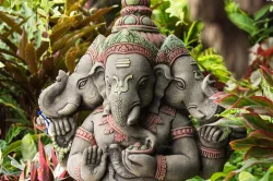 <p><em><strong>sankashti chaturthi‬</strong></em></p>- India TV Hindi