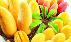 <p>mango</p>- India TV Hindi