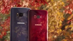 Samsung Galaxy S8 Burgundy Red Edition- India TV Paisa