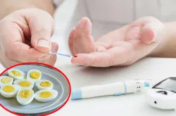 diabetes egg- India TV Hindi