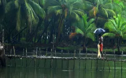 Monsoon likely to hit Kerala coast on May 28th - India TV Paisa