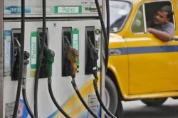 <p>Petrol</p>- India TV Paisa