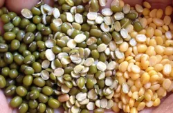 Import policy for Urad and Moong - India TV Paisa