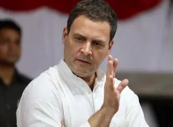 <p>congress president rahul gandhi</p>- India TV Hindi