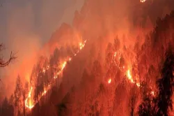 Fire continues to rage in Uttarakhand forests; locals complain of govt inaction - India TV Hindi