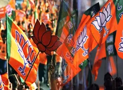 <p>bjp</p>- India TV Hindi