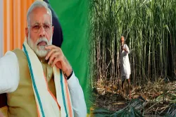 After bitter Kairana result, centre's touch of sugar for cane farmers- India TV Hindi