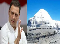 <p>rahul gandhi</p>- India TV Hindi