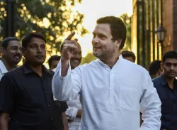 <p>congress president rahul gandhi</p>- India TV Hindi