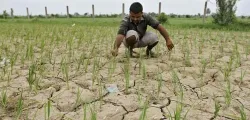 Big Rainfall deficit in Gujarat, Rajasthan and Uttar Pradesh as Monsoon gets slow- India TV Paisa