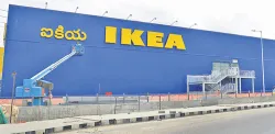 ikea store- India TV Paisa