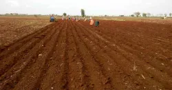 Kharif Sowing in Gujarat lagging behind by 45 percent till July 10th - India TV Paisa