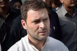 Rahul Gandhi- India TV Hindi