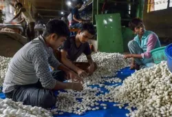 Oldest silk factory in Kashmir reopens after 30 years - India TV Paisa