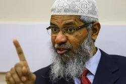 <p>zakir naik</p>- India TV Hindi