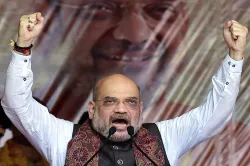 <p>amit shah</p>- India TV Hindi