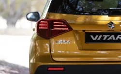 <p>vitara</p>- India TV Paisa