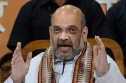 BJP extends party president Amit Shah's tenure till 2019 Lok Sabha elections | PTI File- India TV Hindi