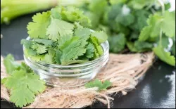 coriander leaves Face Pack- India TV Hindi