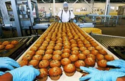 <p>Food Processing </p>- India TV Paisa