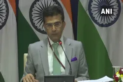 <p>Raveesh Kumar, MEA</p>- India TV Hindi