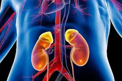 <p>kidney stone</p>- India TV Hindi