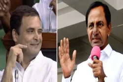 <p>Congress president Rahul Gandhi is biggest buffoon of...- India TV Hindi