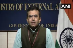 <p>MEA spokesperson Raveesh Kumar</p>- India TV Hindi