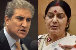 Shah Mehmood Qureshi and Sushma Swaraj | File Pic- India TV Hindi