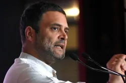 <p>rahul gandhi</p>- India TV Hindi