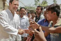 <p>rahul gandhi</p>- India TV Hindi