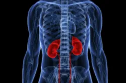 <p>kidney problem</p>- India TV Hindi