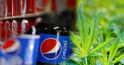 <p>Pepsi Coke</p>- India TV Paisa