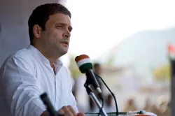 <p>Rahul Gandhi</p>- India TV Hindi