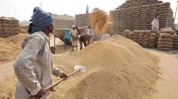 paddy procurement- India TV Paisa