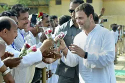 <p>Rahul Gandhi</p>- India TV Hindi