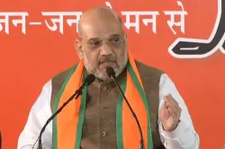 BJP Chief Amit Shah | Twitter- India TV Hindi