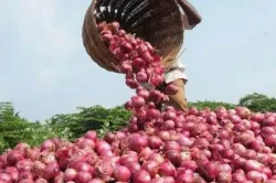 Nashik farmer again writes to PMO, dubs report of low-quality onions as 'false' | AP File- India TV Hindi