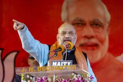 <p>amit shah</p>- India TV Hindi