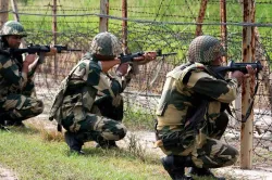 BSF assistant commandant martyred in Pak sniper fire in Samba sector | PTI Representational- India TV Hindi