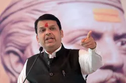 <p>Devendra Fadnavis</p>- India TV Hindi