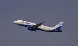 <p>indigo plane</p>- India TV Hindi