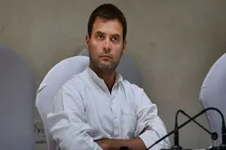 Rahul Gandhi- India TV Hindi