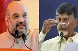 Amit Shah and Chandrababu Naidu File Photo- India TV Hindi